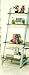 Exclusive 73 High 4-Tier LEANING LADDER MAGAZINE / BOOK SHELF