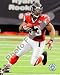 Michael Turner Falcons 8x10 Photo