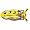Leopard Frog