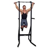 Champion Chin and Dip Station Gym Equipment