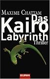 Das Kairo-Labyrinth: Thriller