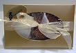 Grandmother Reilly's Gourmet Toffee Gift 1 lb., English Toffee - 1 lb.
