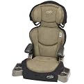 Evenflo Big Kid DLX Booster Car Seat - Cactus