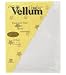 Deluxe Vellum Paper 8.5'' x11'' 12/Pkg Iridescent