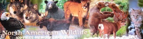North American Wildlife 100 Piece Memory Card Game by Impact Photographics