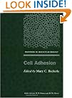 Cell Adhesion (Frontiers in Molecular Biology)