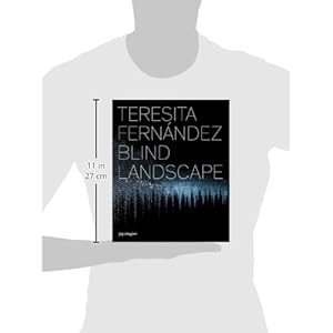 Teresita Fernández: Blind Landscape