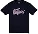 Lacoste Rainbow Striped Croc Graphic T-Shirt (XX-Large (8), Eclipse Blue)