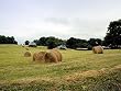 Hay Rolls, Rural America Farmland Photograph - Beautiful 16x20-inch Photographic Print by Carol M. Highsmith