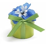 Bloembox Minis: Standard Delphinium in Gift Box