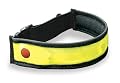 Planet Bike BRT Strap Multi-Use LED Bicycle Safety Light