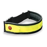PlanetBikeBRTStrapMulti-UseLEDBicycleSafetyLight