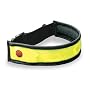 Planet Bike BRT Strap Multi-Use LED Bicycle Safety Light