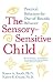 Books : The Sensory-sensitive Child