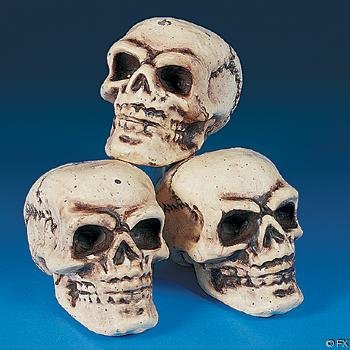 Halloween Skeleton Skulls by Spookville