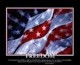 Patriotic Freedom Subject Art Poster Print, 20x16