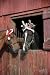 Holiday Horse Santa Hat