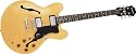 Epiphone Dot Electric Guitar Natural