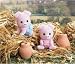 Calico Critters: Pigglywink Pig Twins