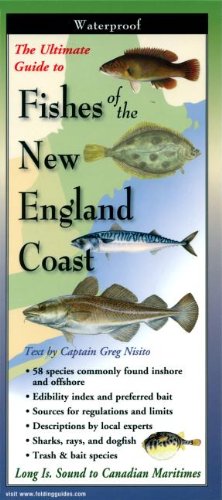 The Ultimate Guide to Fishes of the New England Coast