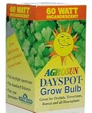 Agrosun Dayspot Incandescent 60 Watt Bulb