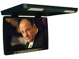 17.1'' Roof Mounted Screen Black color, letterbox monitor (Extra bright tech for daytime viewing)