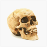 Head Artwork Sculptures