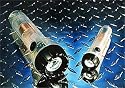 Faraday Light Flashlights- Set of 2