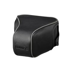 Panasonic DMW-CGK2E-K Ledertasche f�r GF2 Systemkamera mit Standardzoom schwarz