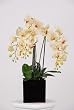 Artificial Triple-stem Phalaenopsis Orchid Arrangement Cream/burgundy
