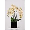 Artificial Triple-stem Phalaenopsis Orchid Arrangement Cream/burgundy
