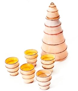 Chinese Lantern Sake Set III