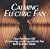 Calming Electric Fan: Fan Sound CD
