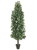 6' Artificial Potted Laurel Tree with Black Round Pot
