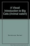 A visual introduction to big cats