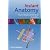 Instant Anatomy