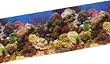 BR BACKGROUND SALT WATER