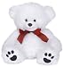 Sweetheart Teddy Bear & Godiva