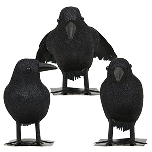 Brand New Lot of 9 Halloween Black Feathered Crows Ravens Props Decor Decorations Birds