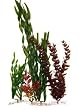 Tetra Water Wonders Plants Value Pack 4