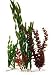 Tetra Water Wonders Plants Value Pack 4