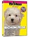 Bichon Frise DVD - Everything You Should Know About Your Dog