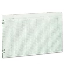 Wilson Jones Green Columnar Ruled Ledger Paper, Double Page Format, 24 Columns and 36 Lines per Page, 11 x 17 Inches, 100 Sheets per Pack (WG50-24A)