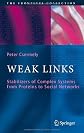 Weak Links: The Universal Key to the Stability of Networks and Complex Systems (The Frontiers Collection)