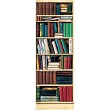 (36x100) Bibliotheque Library Huge Wall Mural Door Poster Print