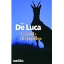 Le poids du papillon de Erri De Luca