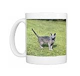 cat-russian blue Photo Mugs