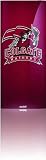 Skinit Protective Skin Fits Ipod Nano 4G (Colgate Raiders)