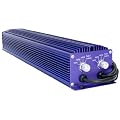 600W DUAL Lumatek Digital Ballast - 240V