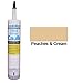 Hydroment Color Matched Caulk by Colorfast (Unsanded) (H147 Peaches & Cream)